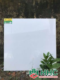 Gạch lát nền catalan 60x60 K176000